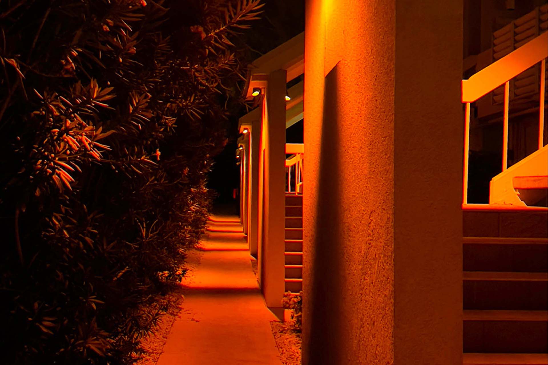 Turtle-friendly amber lighting at Harbour Heights
