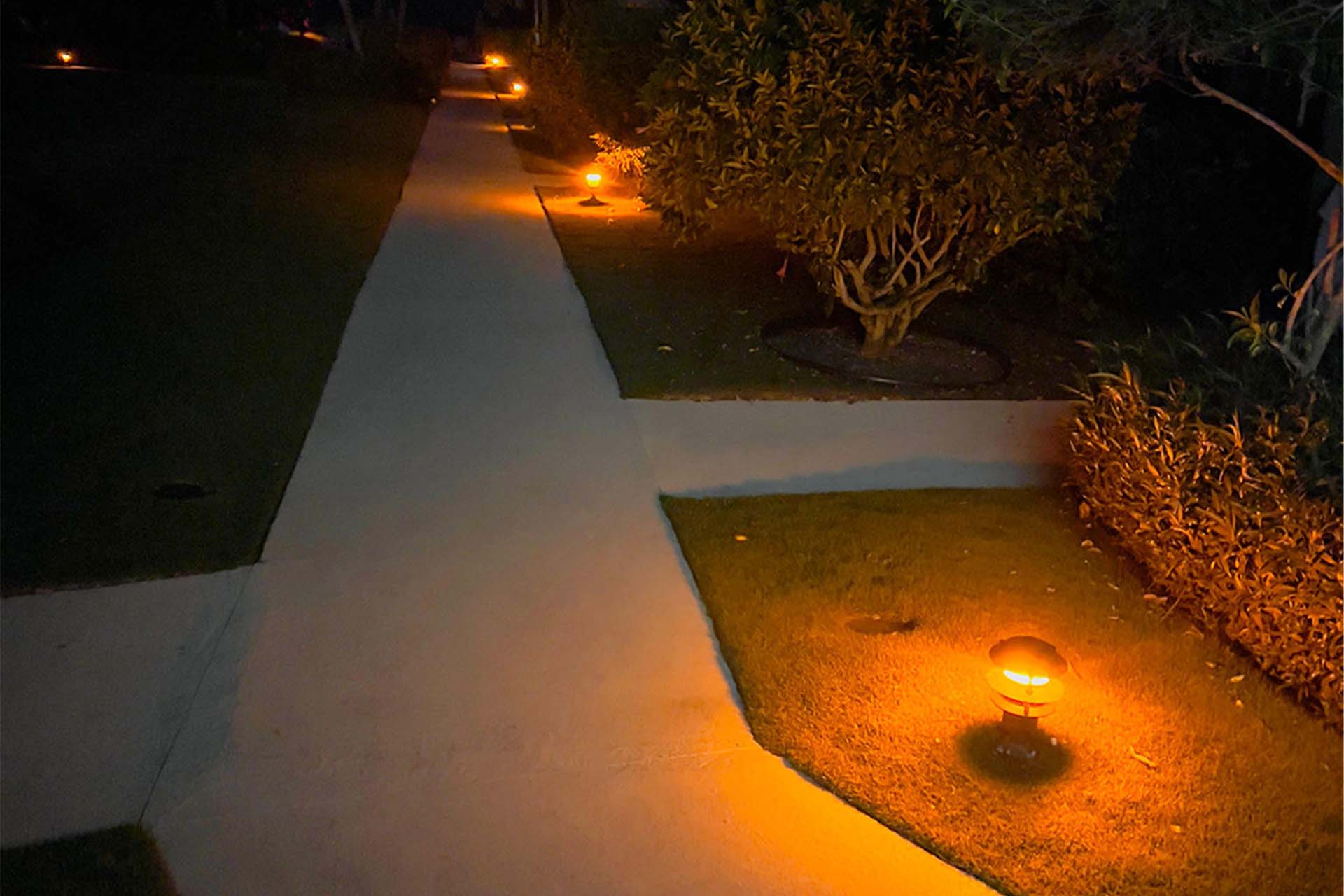 Amber pathway lighting at Harbour Heights